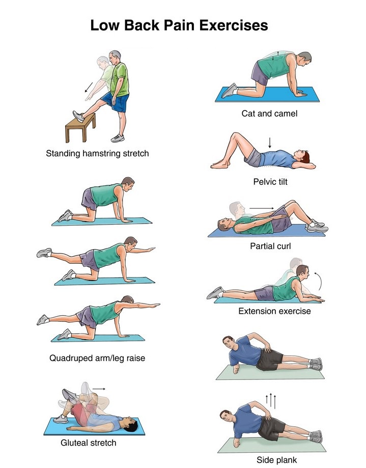 ( Just a few examples of some of the back exercises a physical therapist or other medical provider may show you)